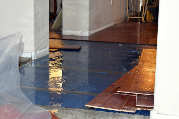 Professional Sewage Cleanup technician working in Bristol, IL