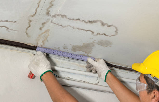 Reliable Sewage Cleanup contractor in Bristol, IL by Water Damage Irwin